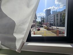 Balestier Road (D12), Apartment #618318951